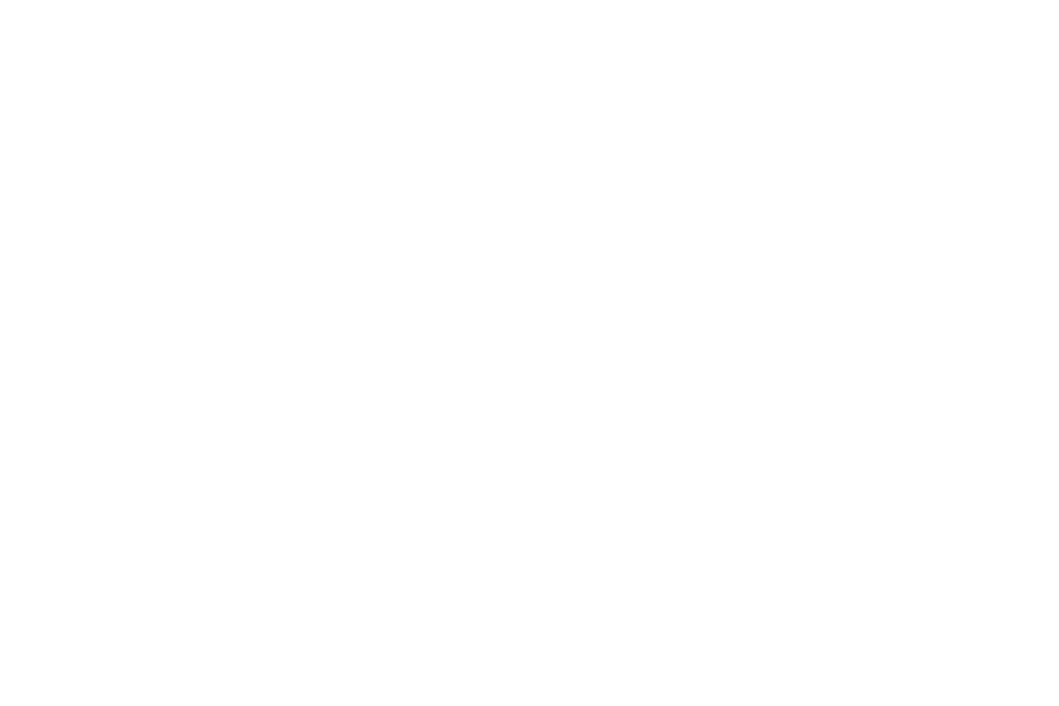 Skytech Aviation logo